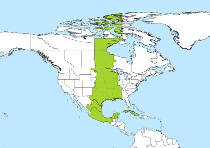 cdt to ist savvy|cdt time zone.